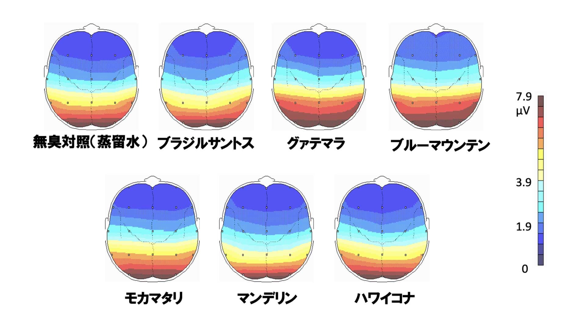 コーヒー豆の香りの違いによるα波量（10.5-11.0Hz）の差異