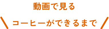 動画で見るコーヒーができるまで